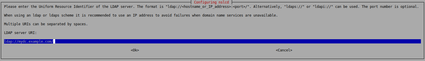 First you need to specify the LDAP server URI. Use ldaps:// if you want an encrypted connection.